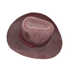 Cowboy Hat